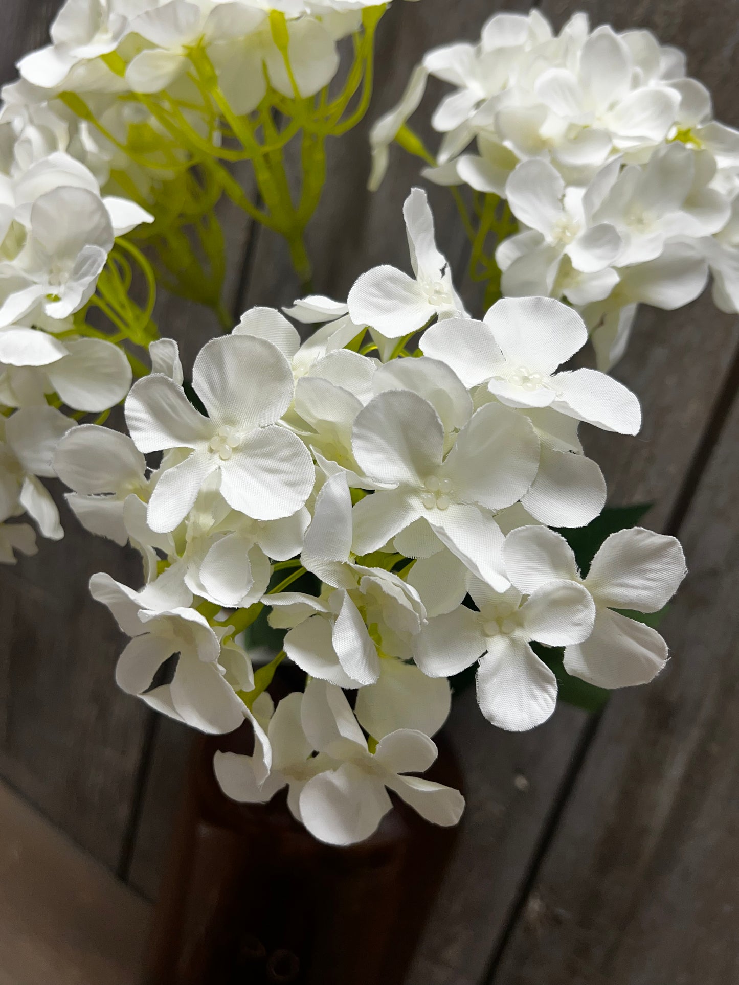 Bush, HYDRANGEA, WHITE or BLUE