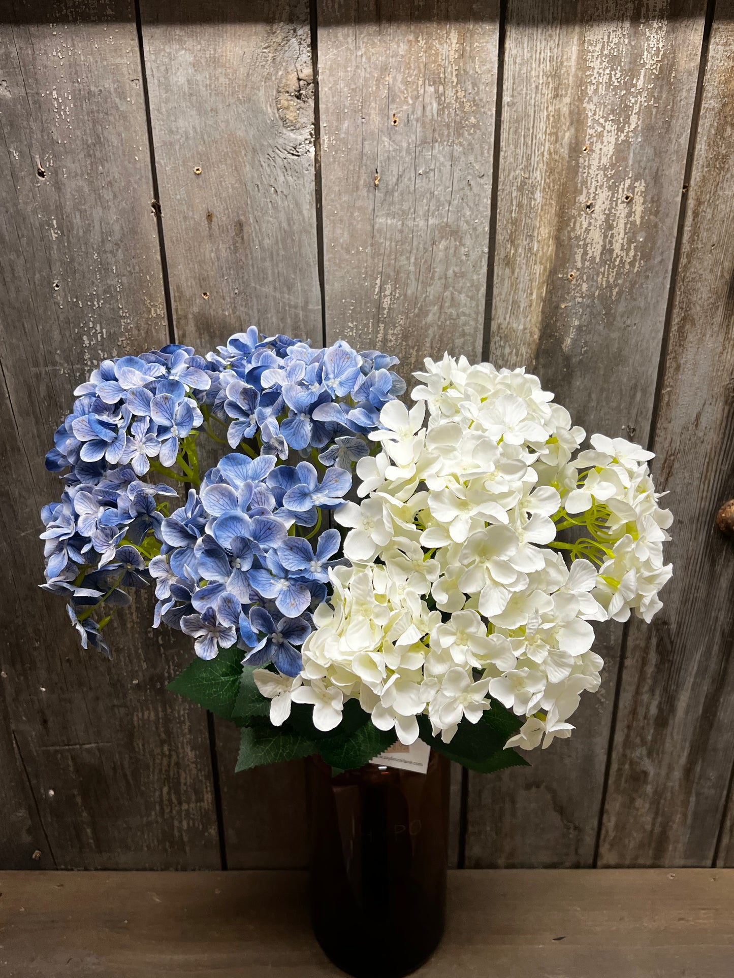 Bush, HYDRANGEA, WHITE or BLUE