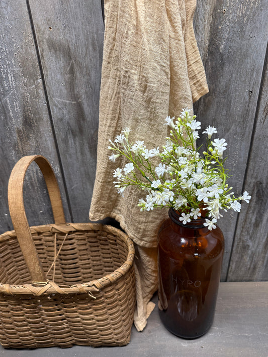 Bush, 14", BABY ASTER