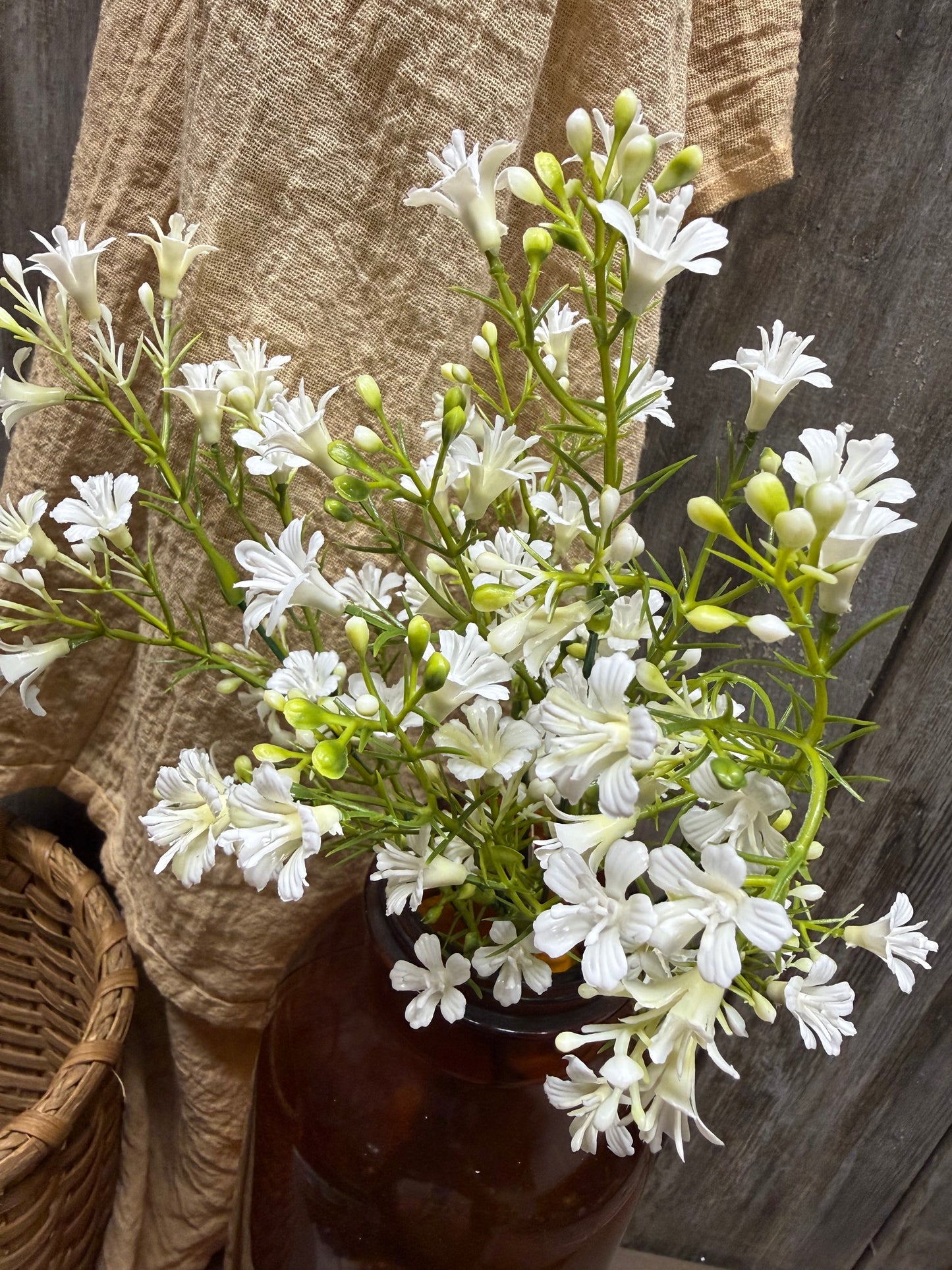 Bush, 14", BABY ASTER