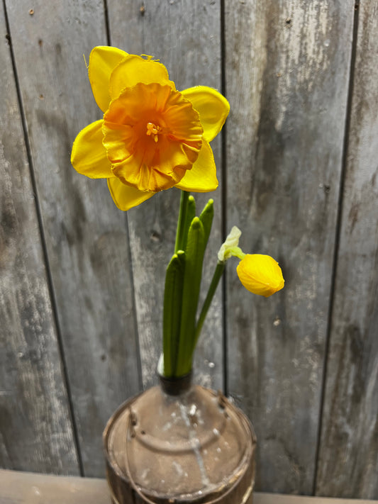 Stem, 19", DAFFODIL