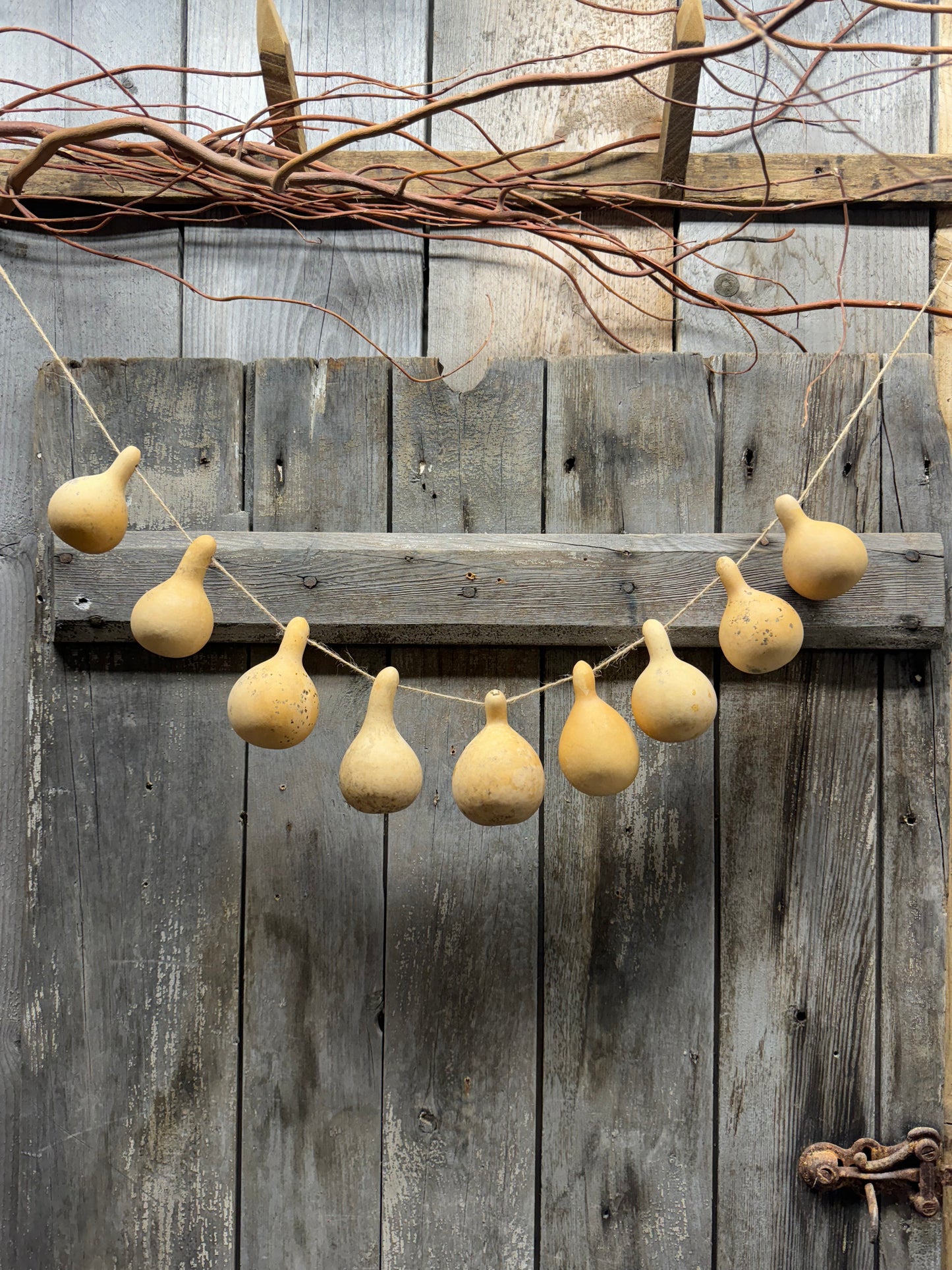 Gourd Garland, Assorted Shapes, SMALL