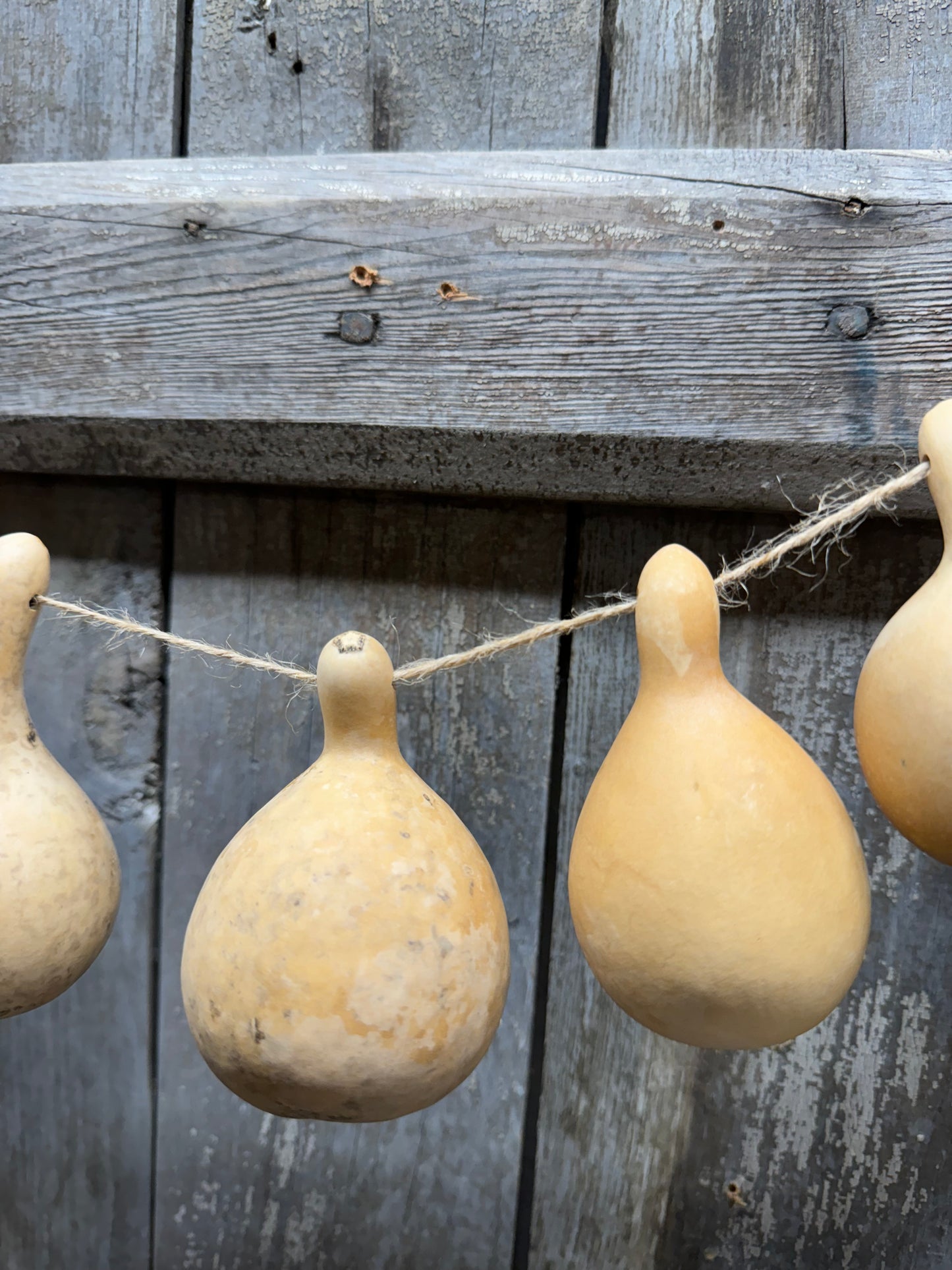 Gourd Garland, Assorted Shapes, SMALL