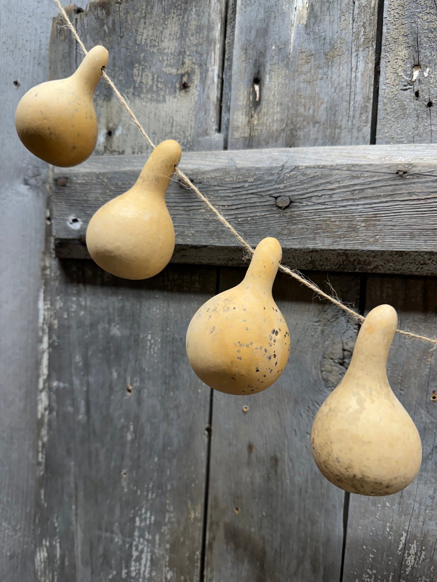 Gourd Garland, Assorted Shapes, SMALL