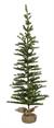 Tree, VERY SLIM TETON PINE