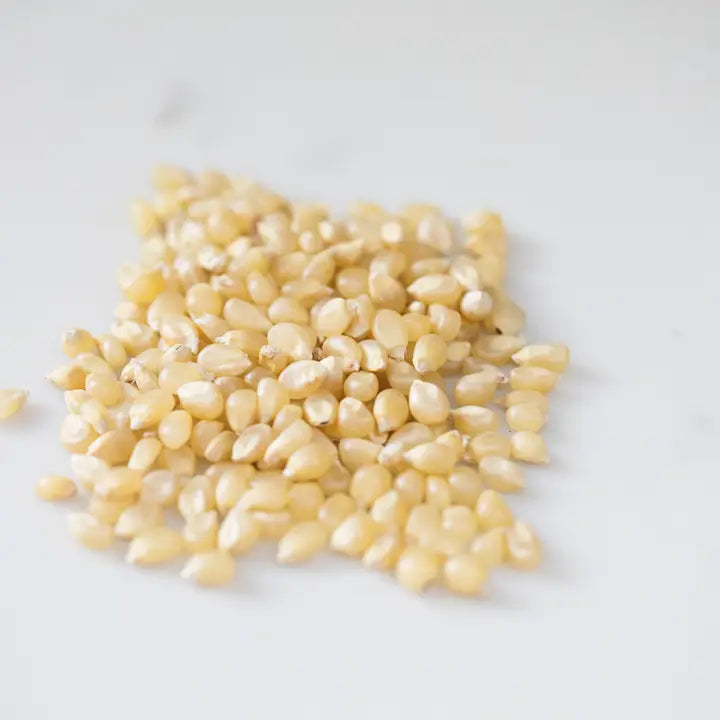 Popcorn, 14 Ounce Bottle, ASSORTED