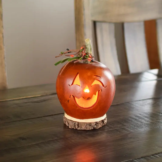 Gourd, Jack O' Lantern, ELECTRIC, FREDRICK