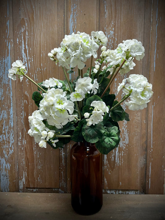 Geranium Bush, Extra Large, WHITE