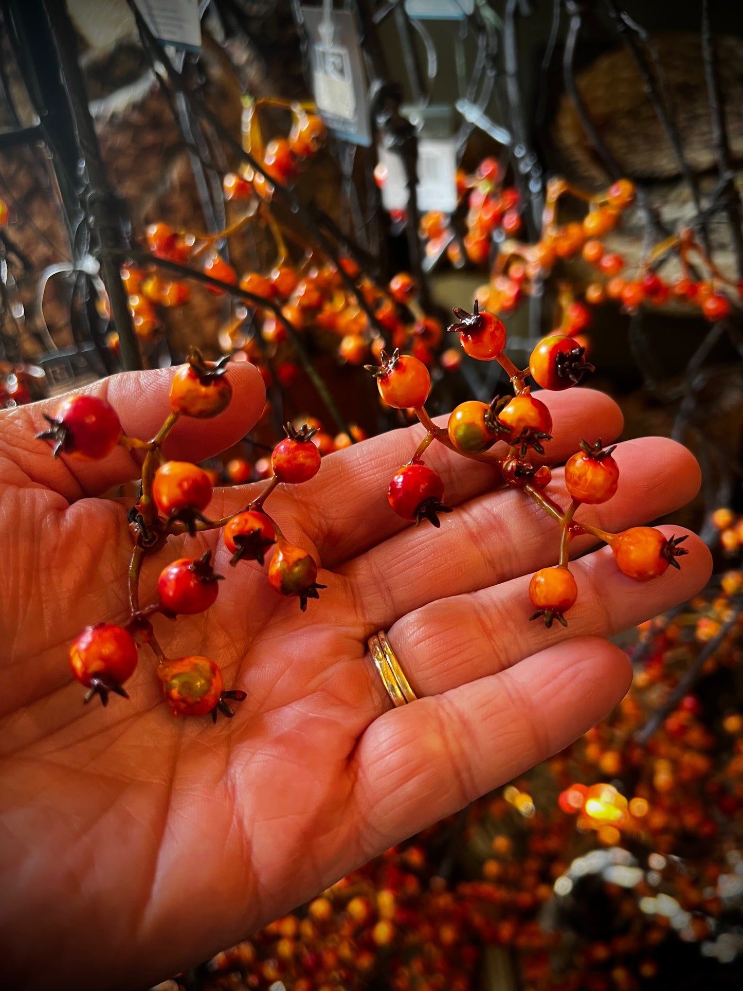 Berry Garland, Wired, 3’, HARVEST