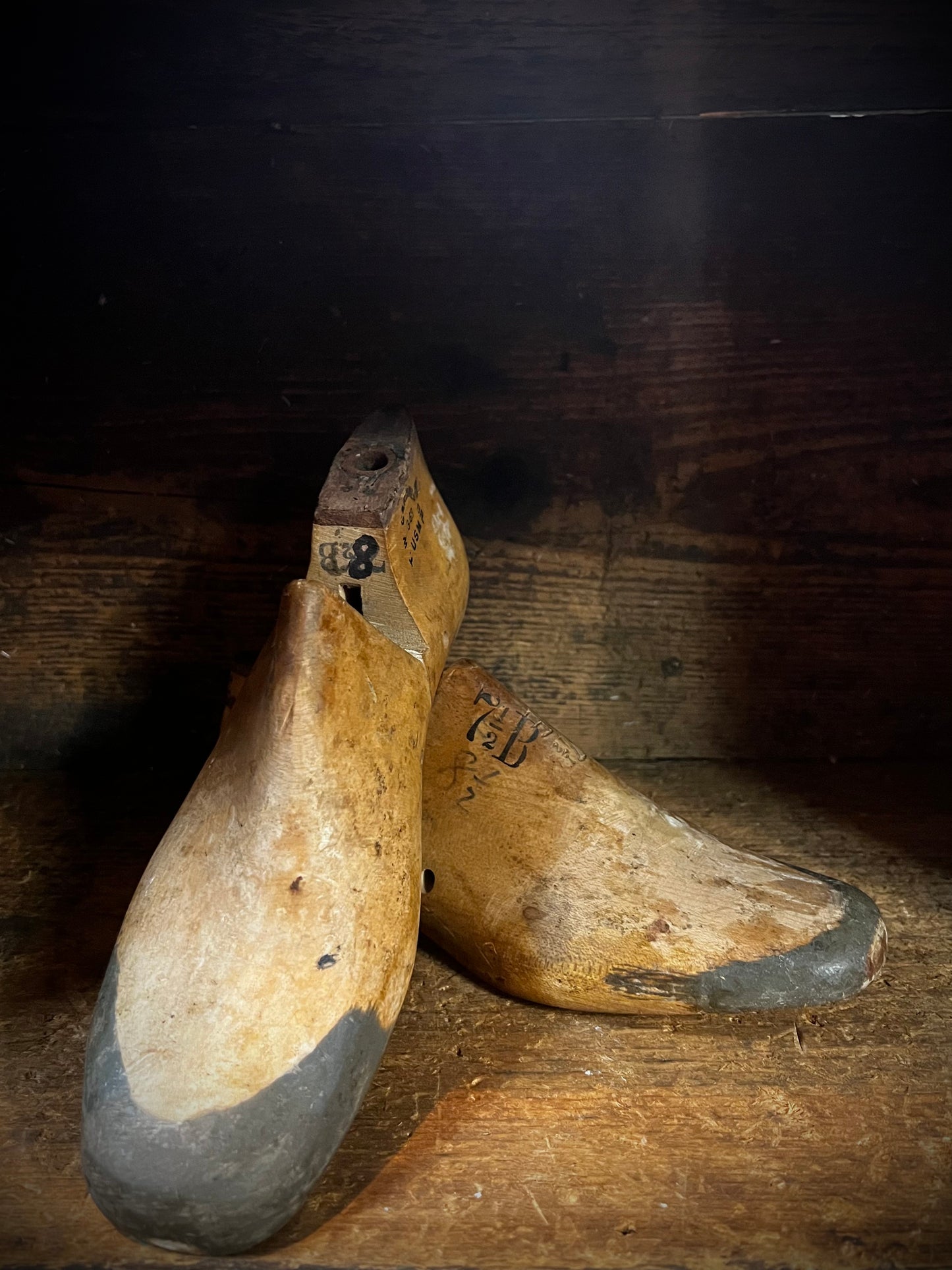 Shoe Form, Wooden, ADULT