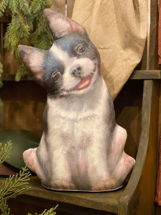 Boston Terrier