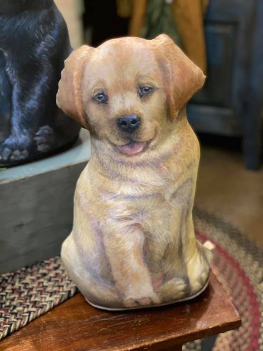 Yellow Lab
