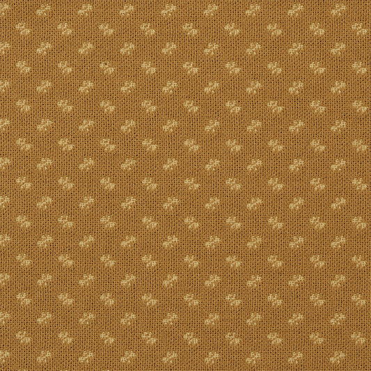 LITTLE BIT, Ecru/Mustard