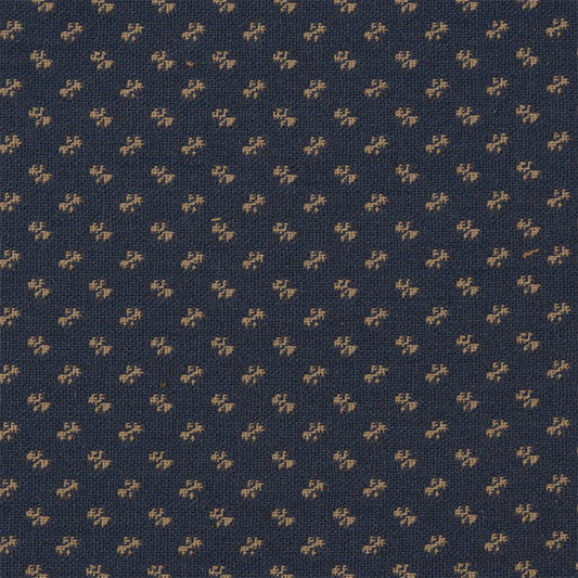 LITTLE BIT, Ecru/Navy