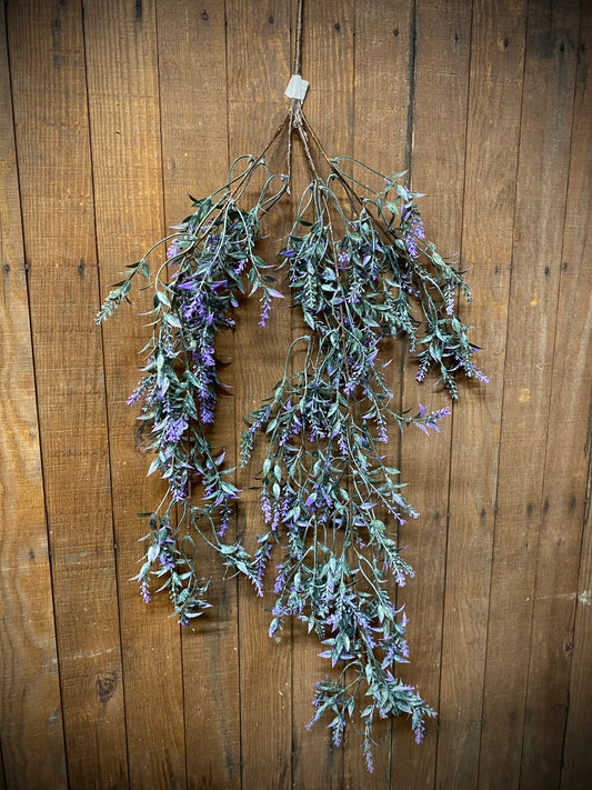Lavender Drop, Sheffield