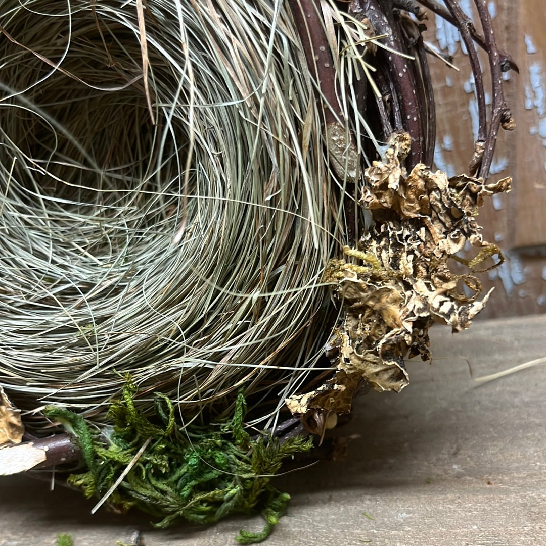 Twig Nest w/ Moss & Grass