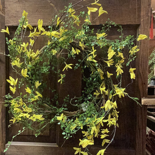 Wreath, 24”, FORSYTHIA W/ GREENS