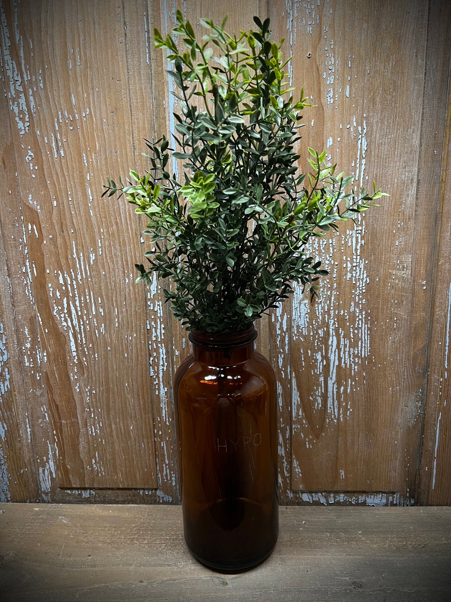 Bush, 18", NEW ENGLAND BOXWOOD