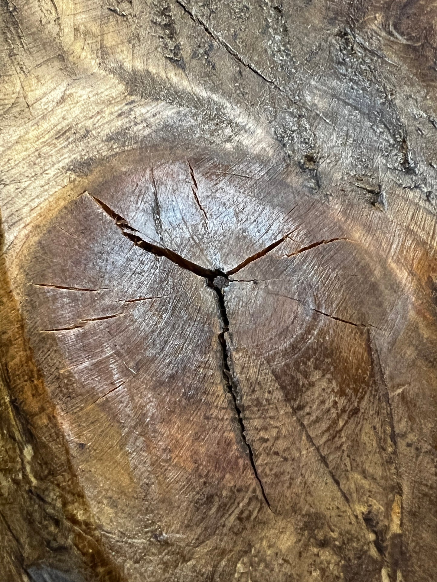 Wood Bowl, MEDIUM