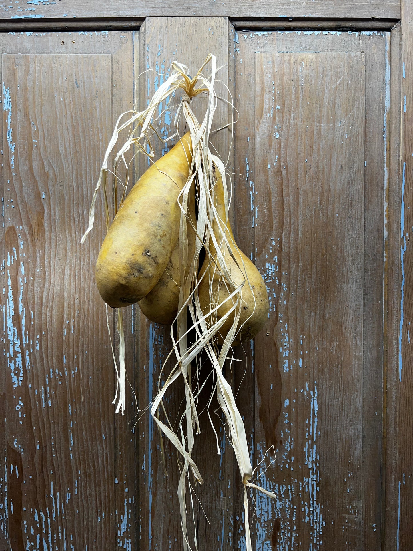 Gourd Cluster, Assorted, HANGING