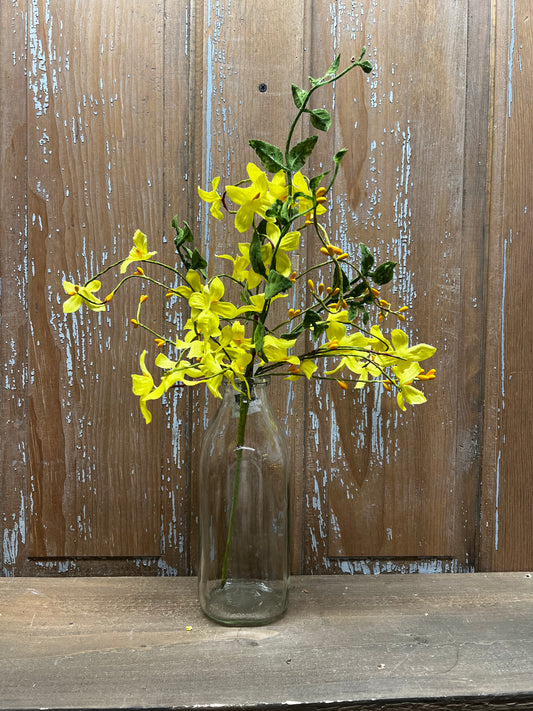 Pick, 18", FORSYTHIA W/ BERRIES
