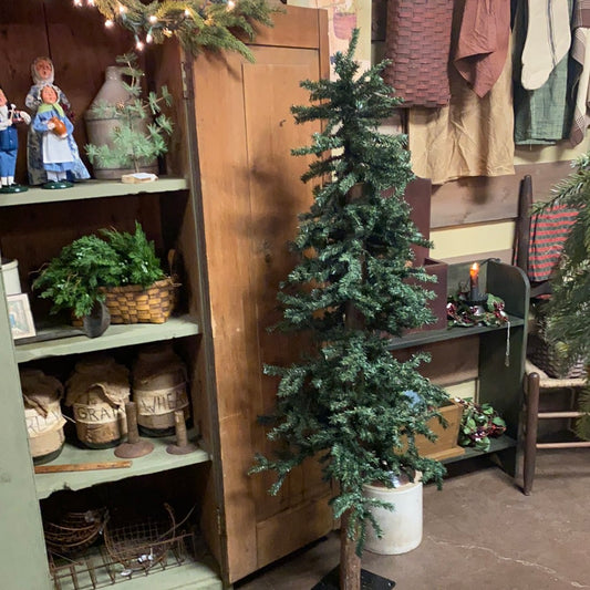 Alpine Tree, 5’