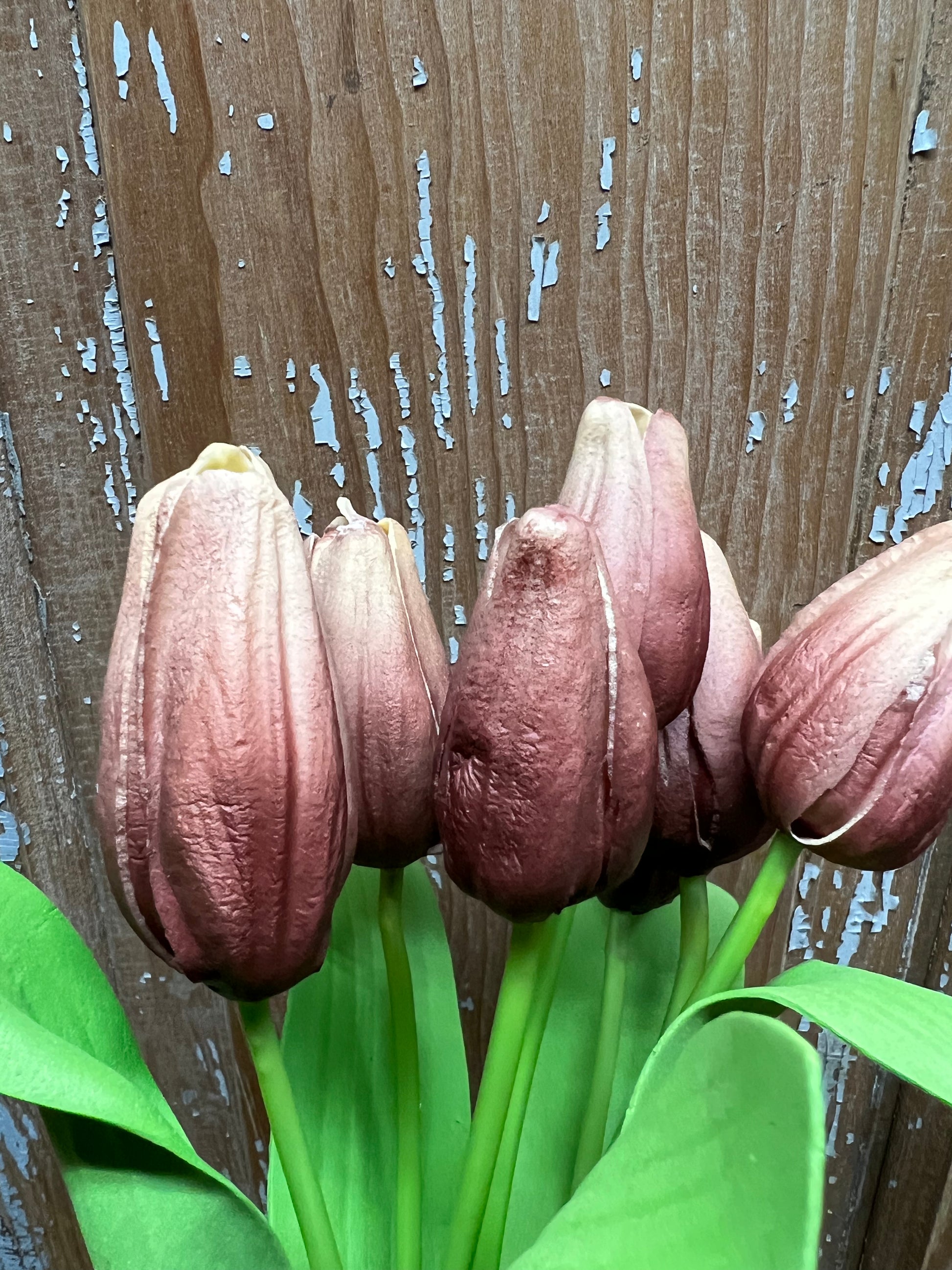 Tulip Time, AURORA – Little Village Primitives