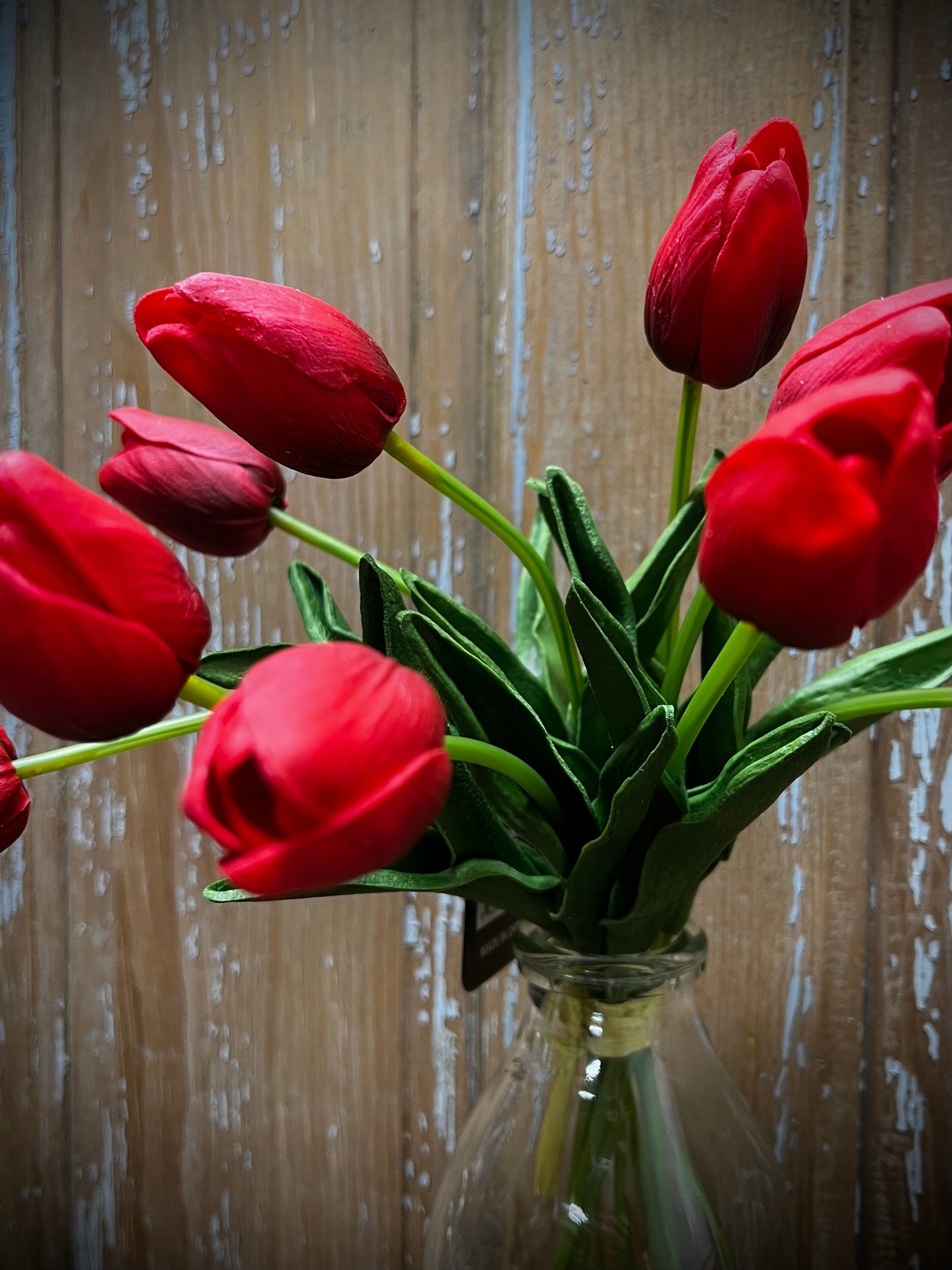 Tulip Bunch, 9 Stems, RED